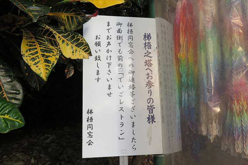 令和5年(2023年)2月9日/沖縄遺骨収集の様子no.