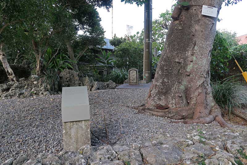 令和6年(2024年)2月15日/沖縄遺骨収集の様子no.
