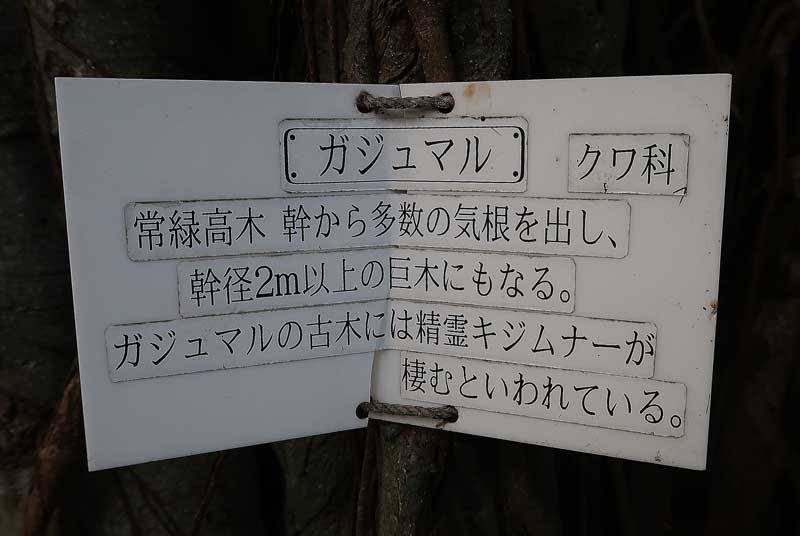 令和6年(2024年)2月15日/沖縄遺骨収集の様子no.