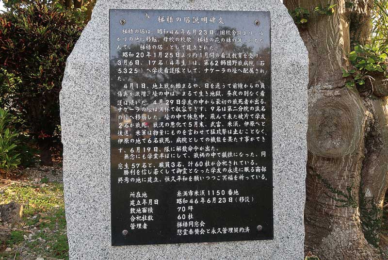 令和6年(2024年)2月15日/沖縄遺骨収集の様子no.