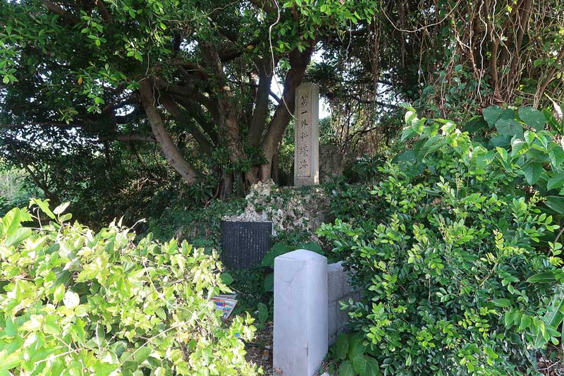 令和6年(2024年)2月15日/沖縄遺骨収集の様子no.