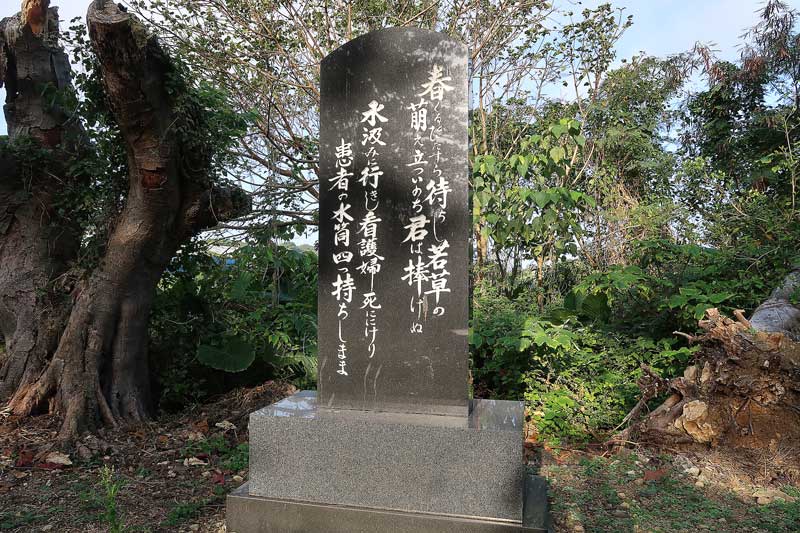 令和6年(2024年)2月15日/沖縄遺骨収集の様子no.