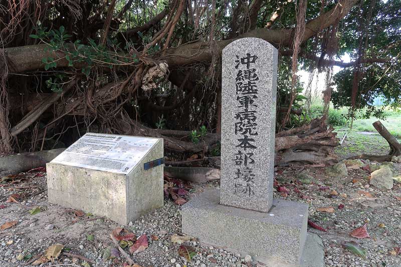 令和6年(2024年)2月15日/沖縄遺骨収集の様子no.