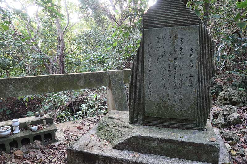 令和6年(2024年)2月16日/沖縄遺骨収集の様子no.