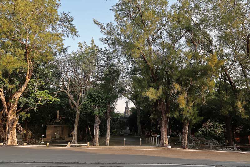 令和6年(2024年)2月16日/沖縄遺骨収集の様子no.
