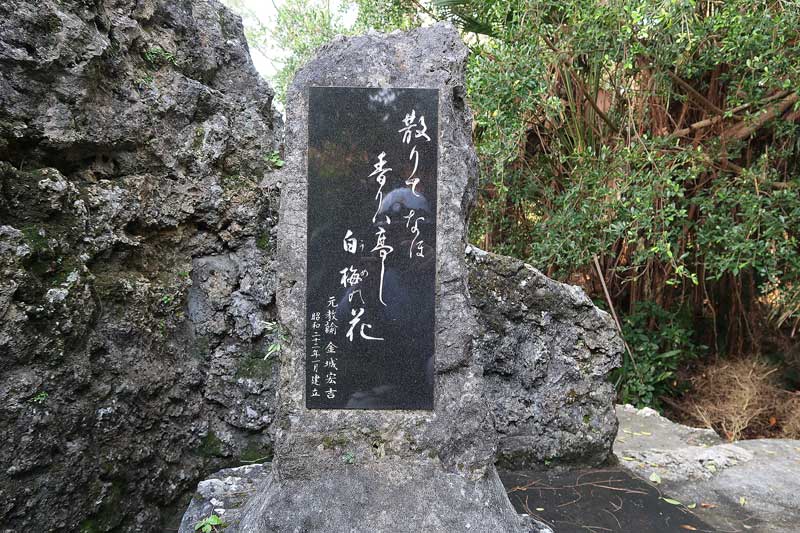 令和6年(2024年)2月16日/沖縄遺骨収集の様子no.