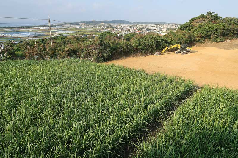 令和6年(2024年)2月16日/沖縄遺骨収集の様子no.