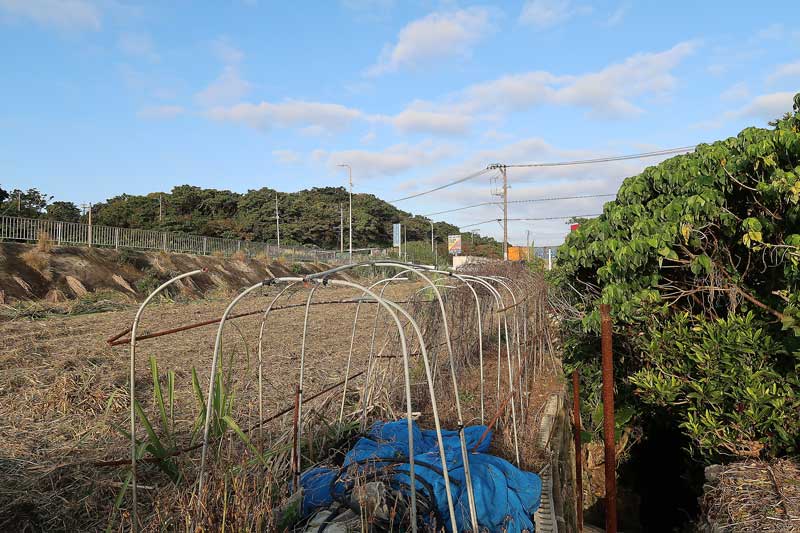 令和6年(2024年)2月17日/沖縄遺骨収集の様子no.