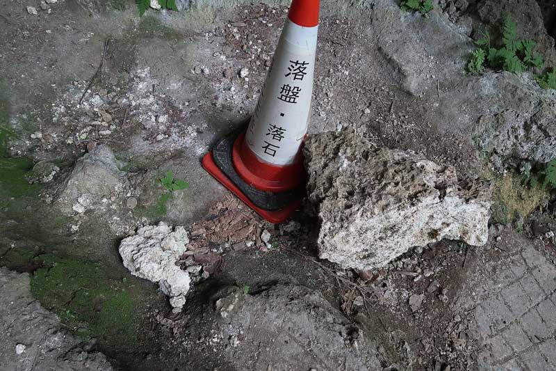 令和6年(2024年)2月18日/沖縄遺骨収集の様子no.