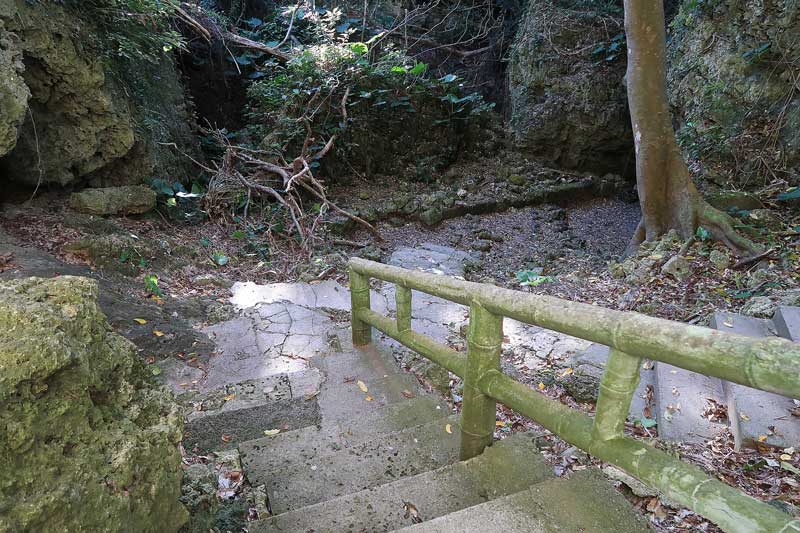 令和6年(2024年)2月19日/沖縄遺骨収集の様子no.