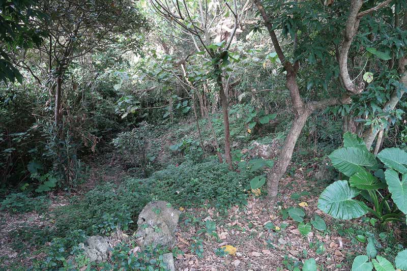 令和6年(2024年)2月20日/沖縄遺骨収集の様子no.