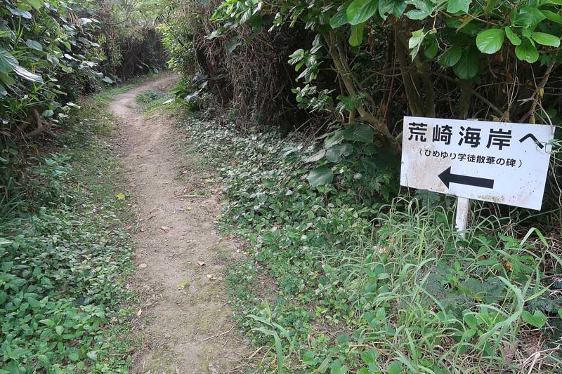 令和6年(2024年)2月20日/沖縄遺骨収集の様子no.