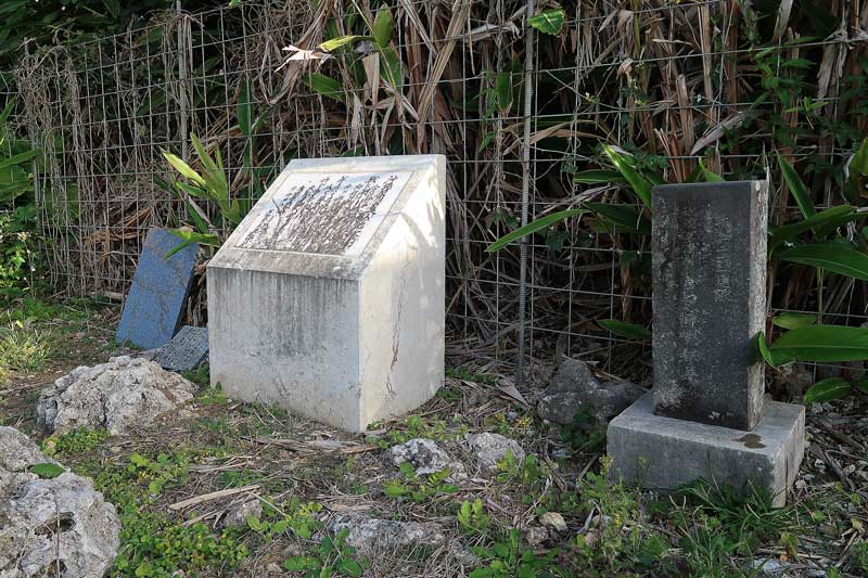 令和6年(2024年)2月21日/沖縄遺骨収集の様子no.