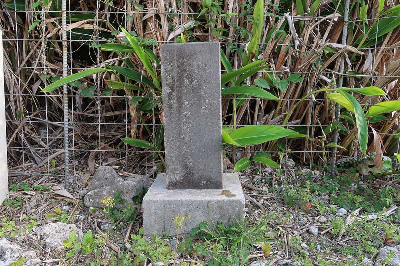 令和6年(2024年)2月21日/沖縄遺骨収集の様子no.