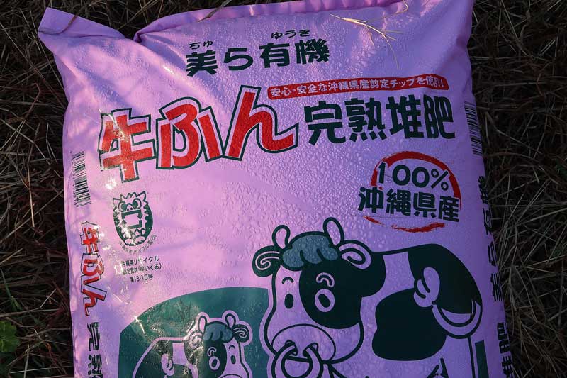 令和6年(2024年)2月22日/沖縄遺骨収集の様子no.