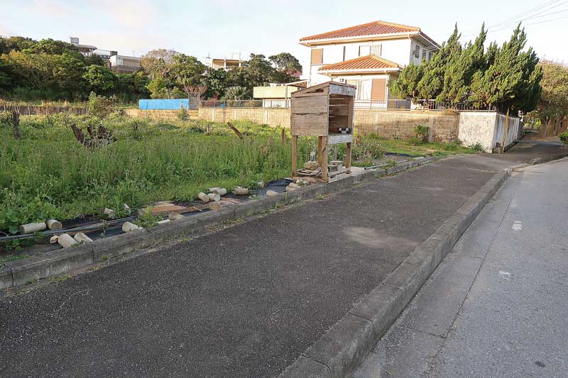 令和6年(2024年)2月22日/沖縄遺骨収集の様子no.