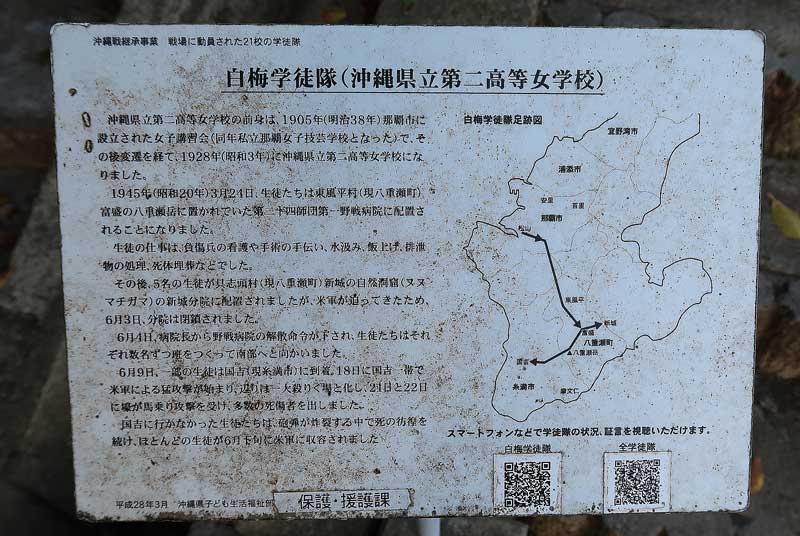 令和6年(2024年)2月22日/沖縄遺骨収集の様子no.
