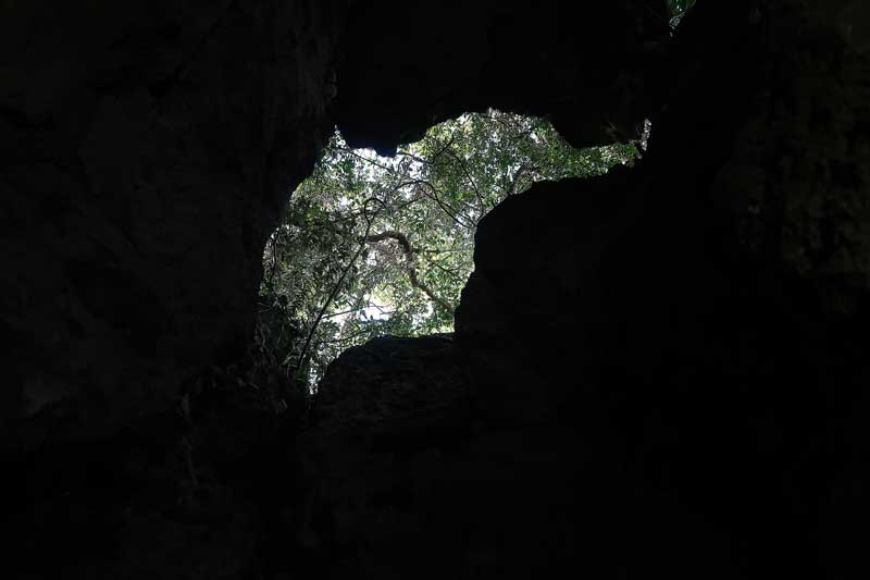 令和6年(2024年)2月22日/沖縄遺骨収集の様子no.