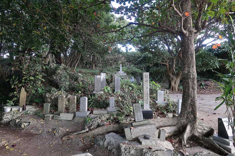 令和6年(2024年)2月23日/沖縄遺骨収集の様子no.