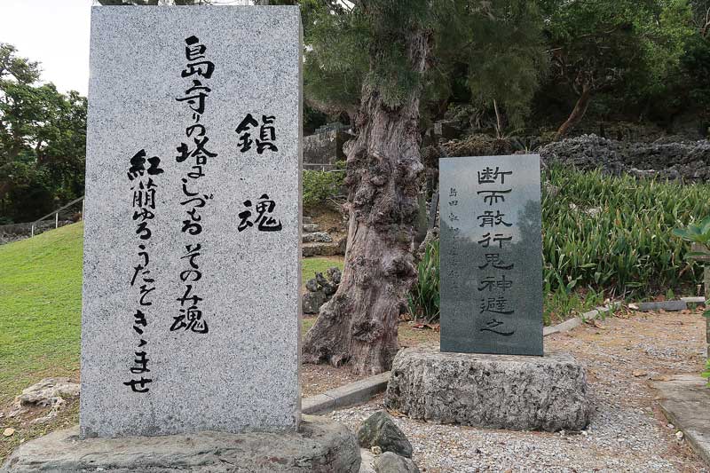 令和6年(2024年)2月23日/沖縄遺骨収集の様子no.