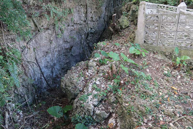 令和6年(2024年)2月23日/沖縄遺骨収集の様子no.