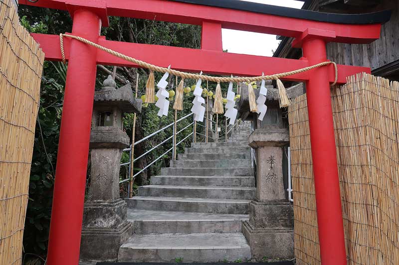 令和6年(2024年)2月25日/沖縄遺骨収集の様子no.