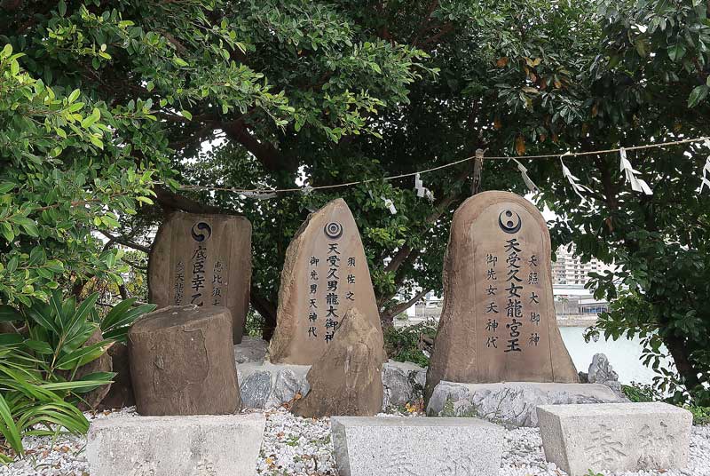 令和6年(2024年)2月25日/沖縄遺骨収集の様子no.