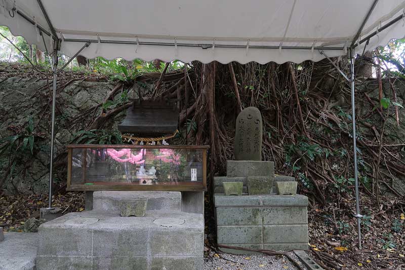 令和6年(2024年)2月25日/沖縄遺骨収集の様子no.
