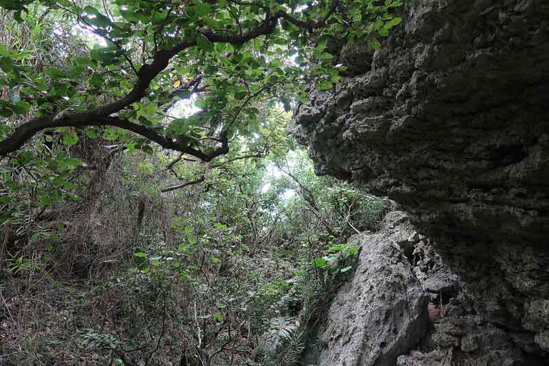 令和6年(2024年)2月25日/沖縄遺骨収集の様子no.